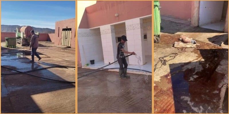 انتشار صور "كارثية" لمجزرة طاطا يدفع الجماعة لمباشرة حملة تطهير لمرافقها